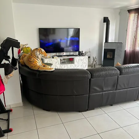 Hibiscus Homestay Meru