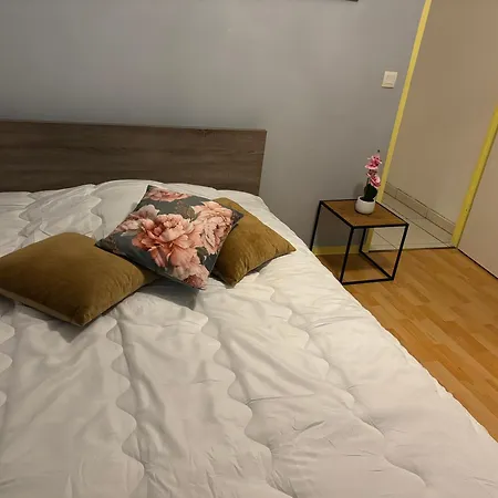 Homestay Hibiscus Meru